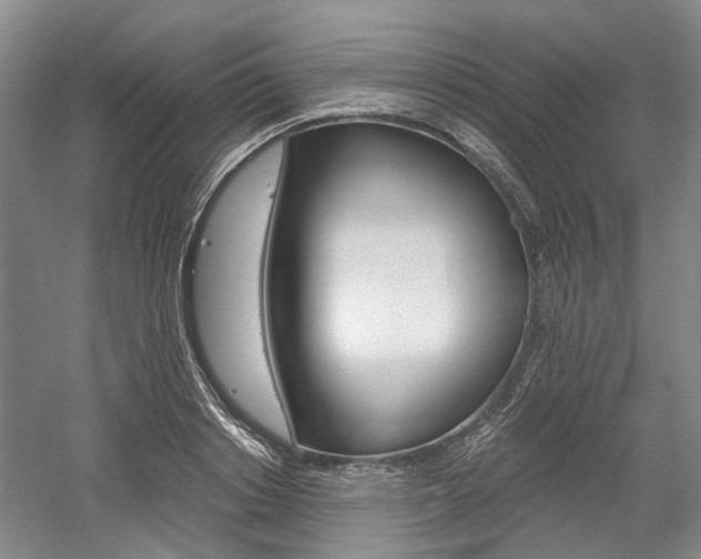 X0000058800842200509300912