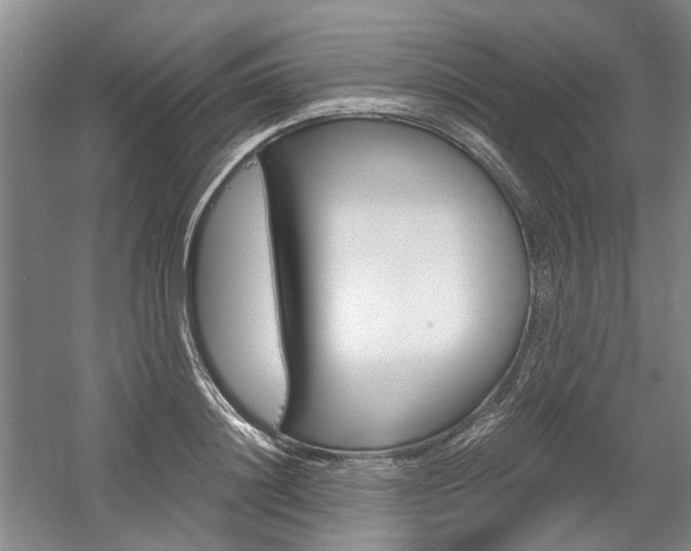 X0000058800844200509300912