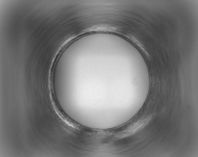 X0000058800848200509300912