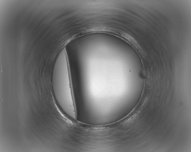 X0000058800849200509300912