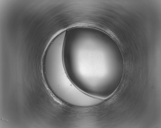 X0000058800854200509300912