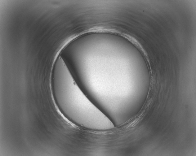 X0000058800855200509300912