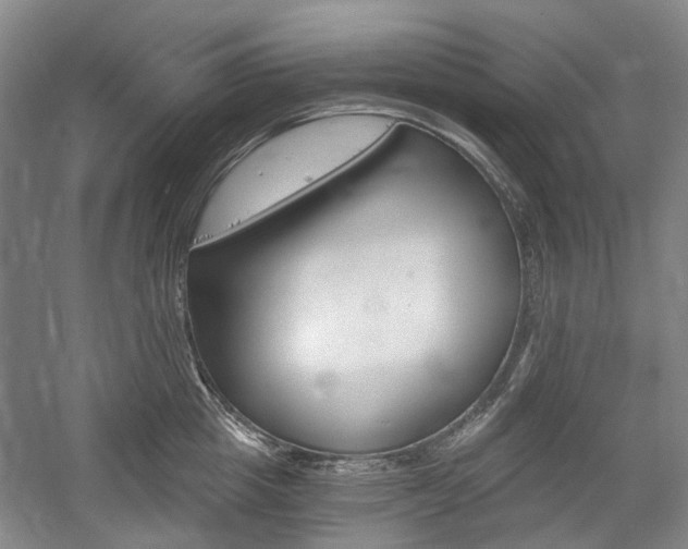X0000058800857200509300912