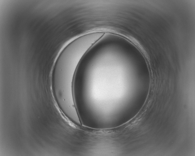 X0000058800862200509300912