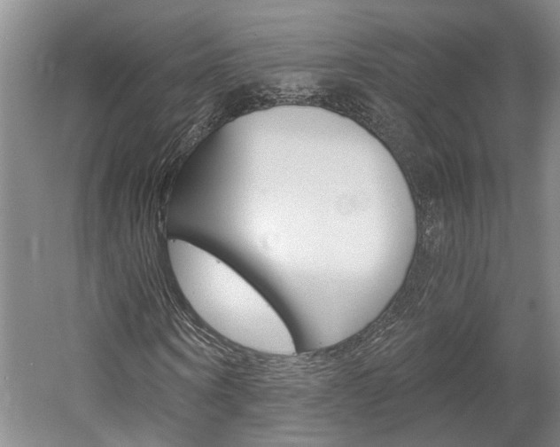 X0000058800866200509300911