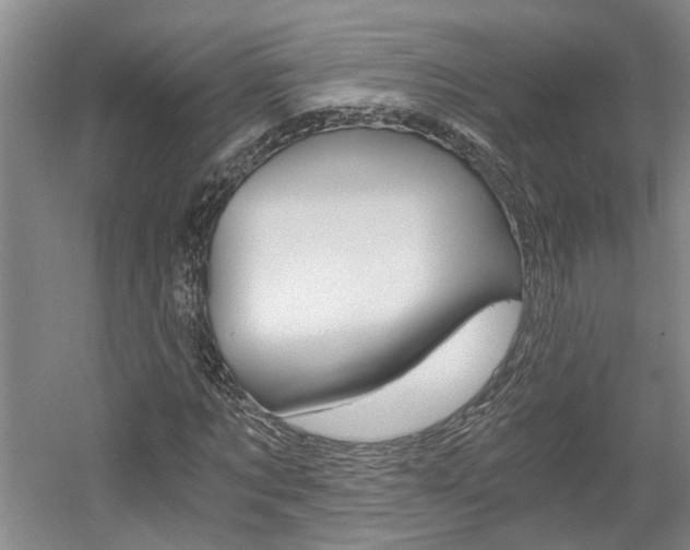 X0000058800869200509300911