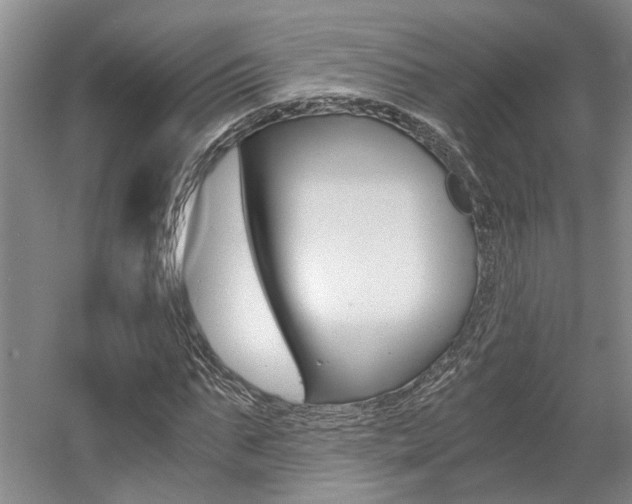 X0000058800871200509300911