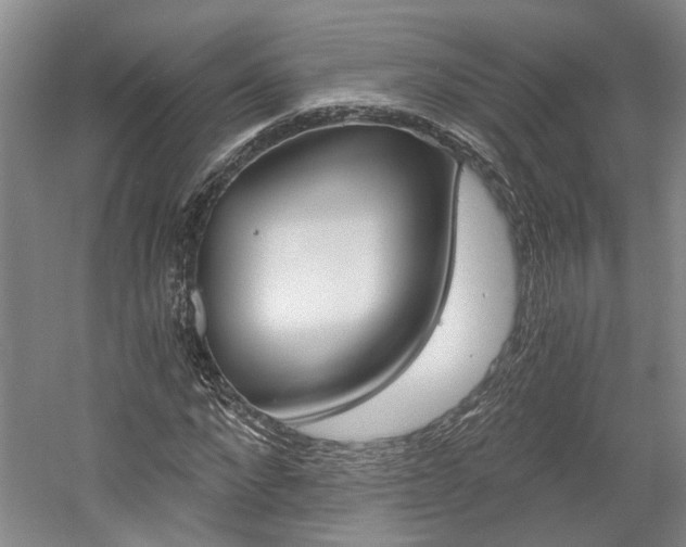 X0000058800872200509300911