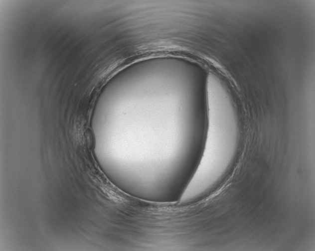 X0000058800873200509300911