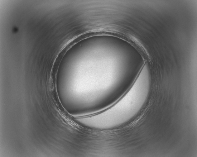 X0000058800876200509300911
