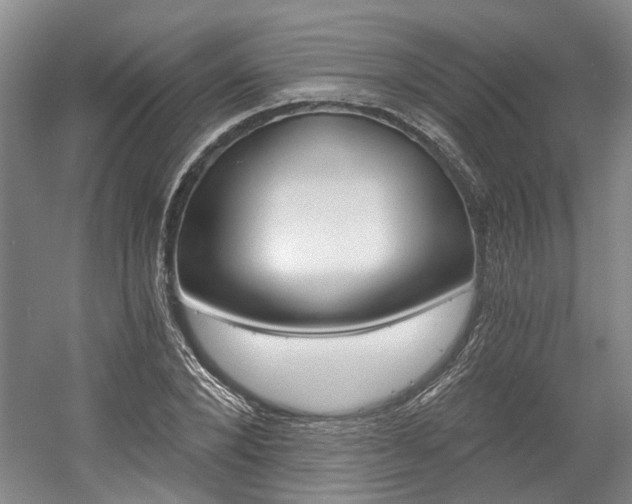 X0000058800880200509300911