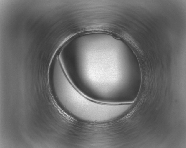 X0000058800884200509300911