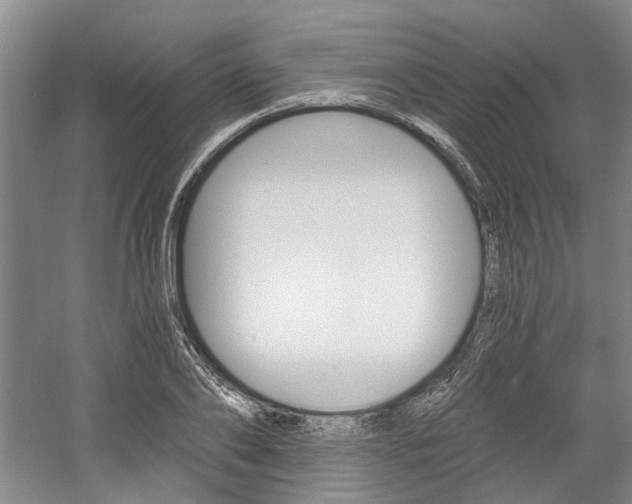 X0000058800886200509300911