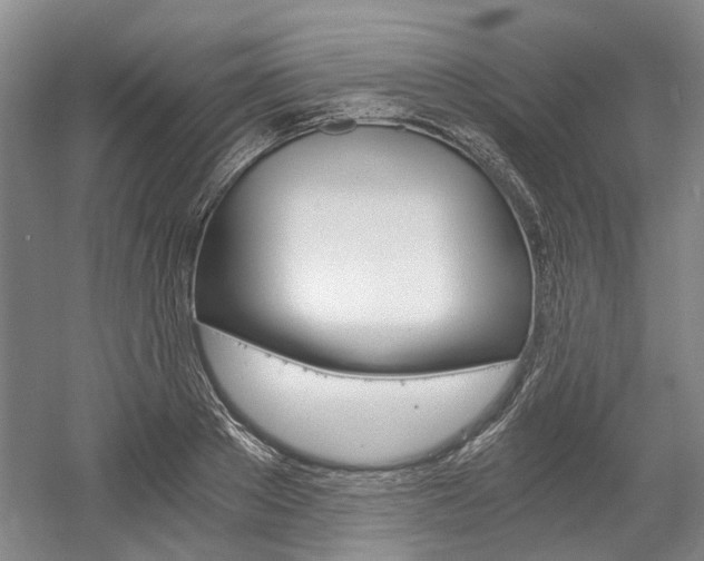 X0000058800889200509300911