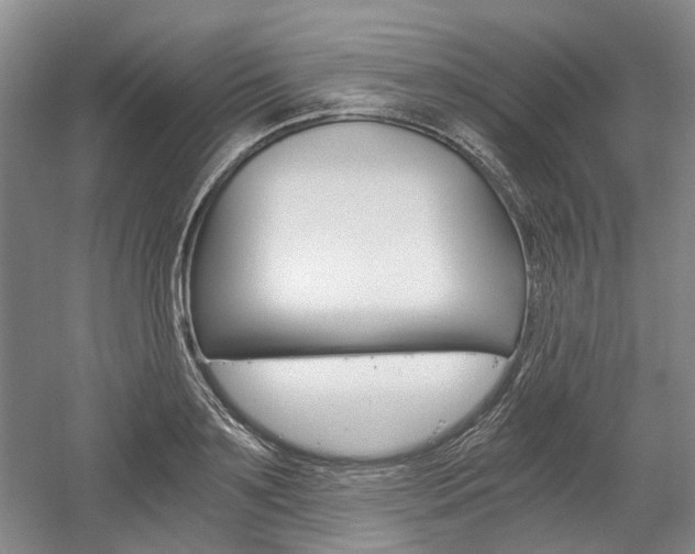 X0000058800891200509300911