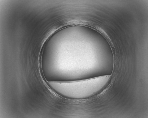 X0000058800893200509300911
