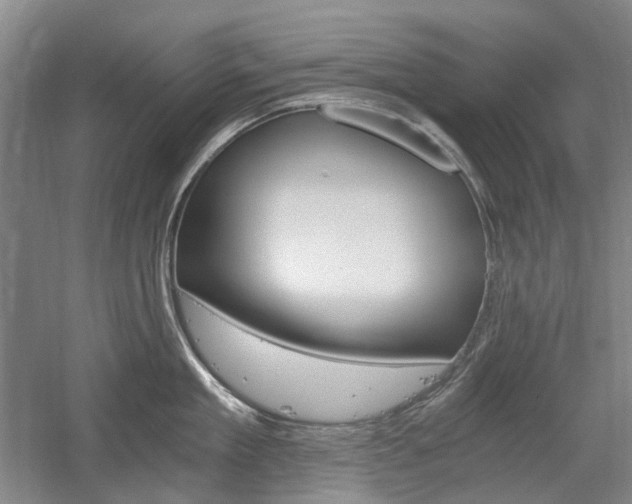 X0000058800909200509300911