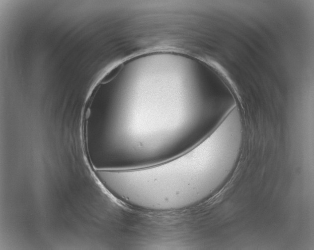 X0000058800910200509300911