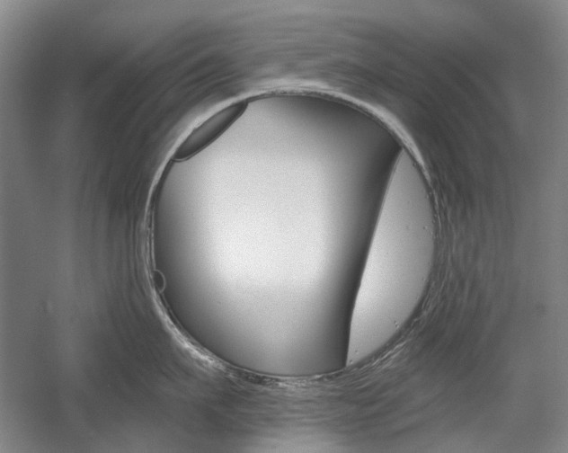 X0000058800911200509300911