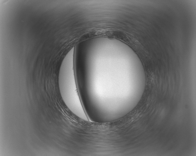 X0000058800914200509300910