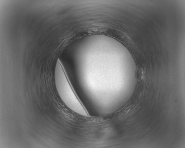 X0000058800915200509300910