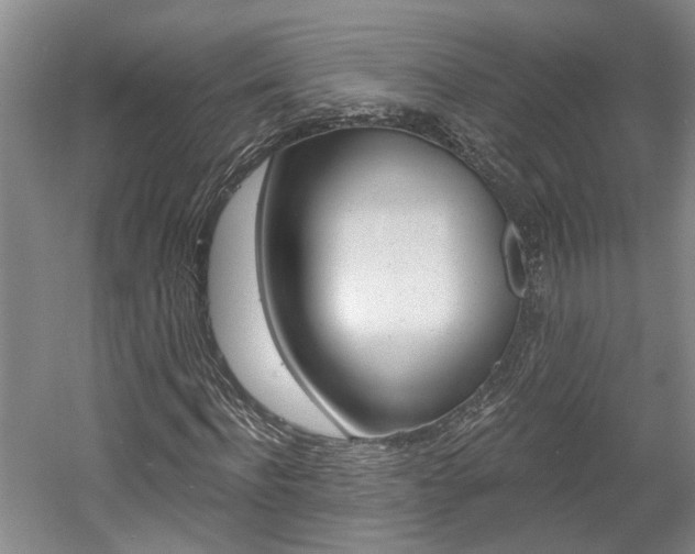 X0000058800916200509300910