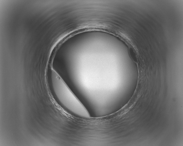 X0000058800928200509300910