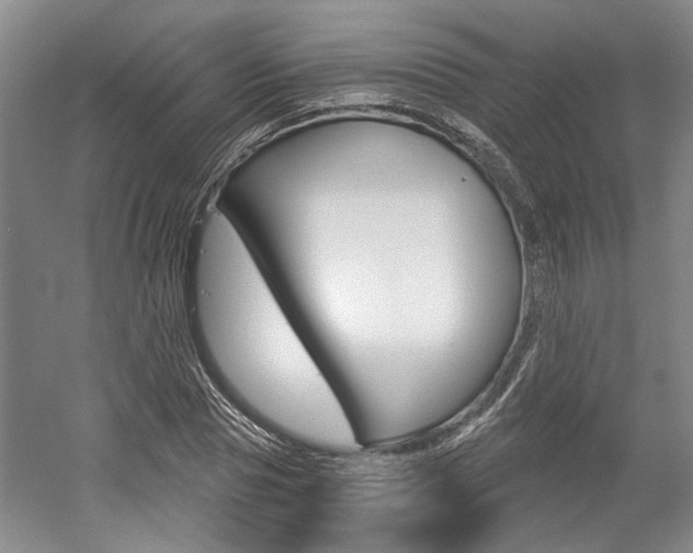 X0000058800929200509300910