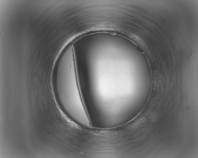 X0000058800942200509300910