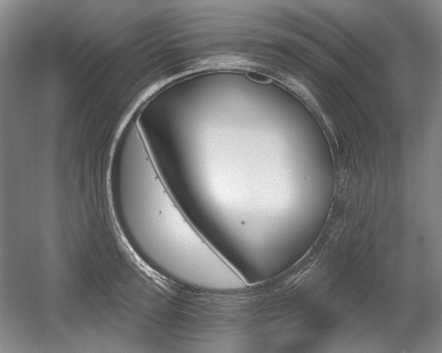 X0000058800947200509300910