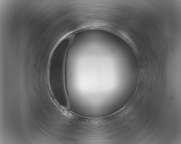X0000058800948200509300910
