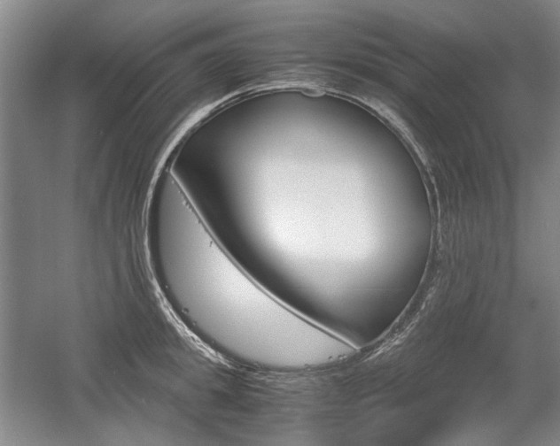 X0000058800949200509300910