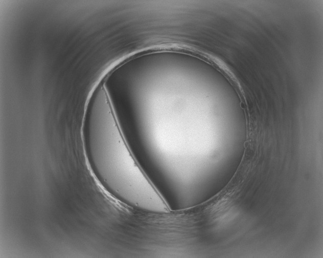 X0000058800951200509300911