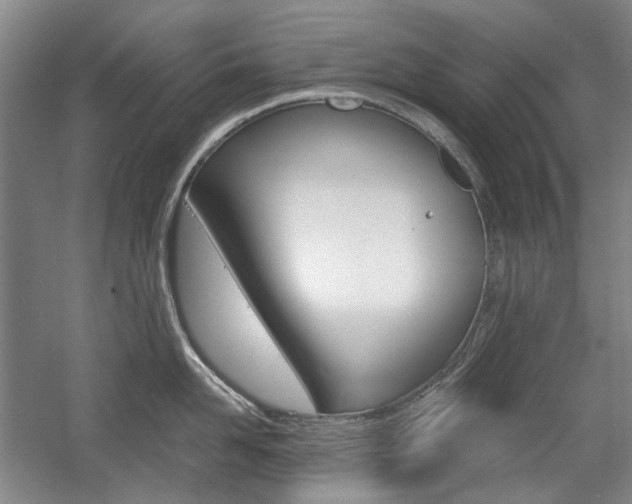 X0000058800958200509300911