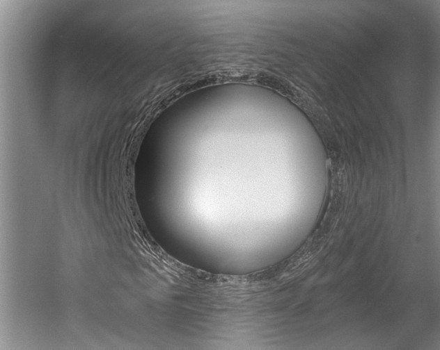 X0000058800961200509300910