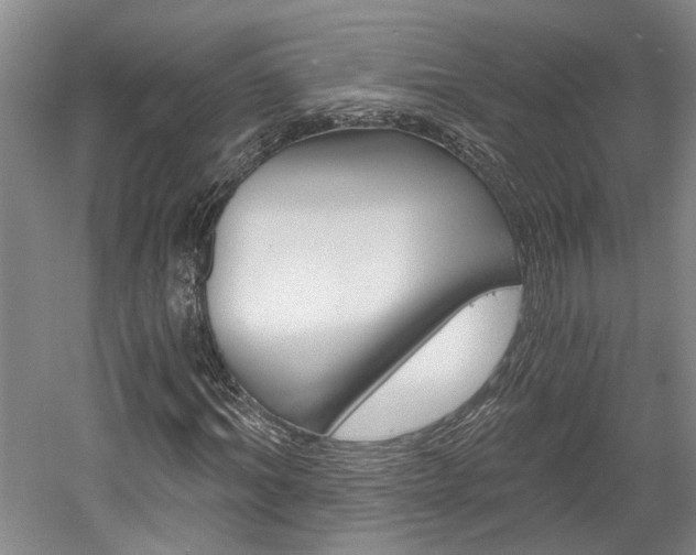 X0000058800964200509300910