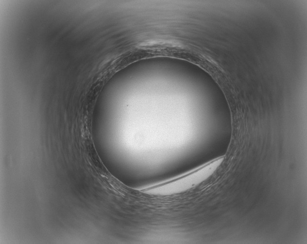X0000058800965200509300910