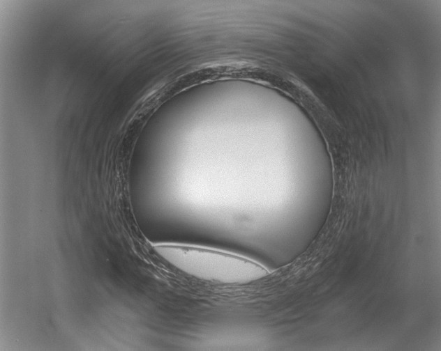 X0000058800967200509300910