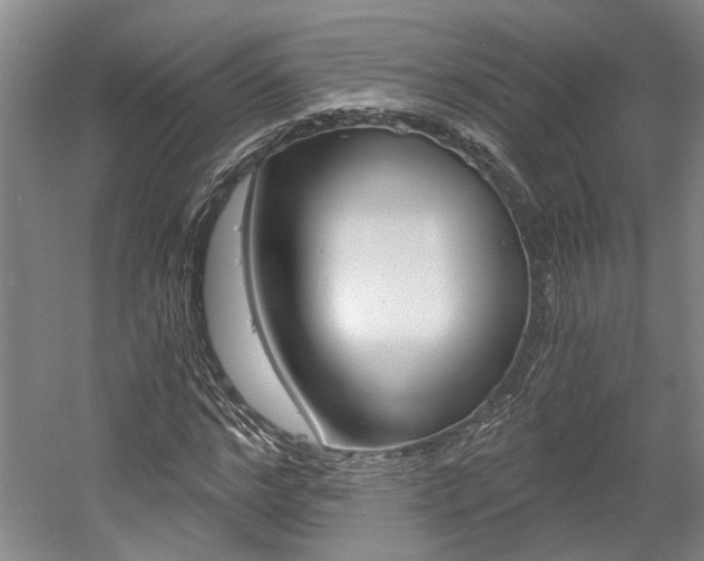 X0000058800968200509300910