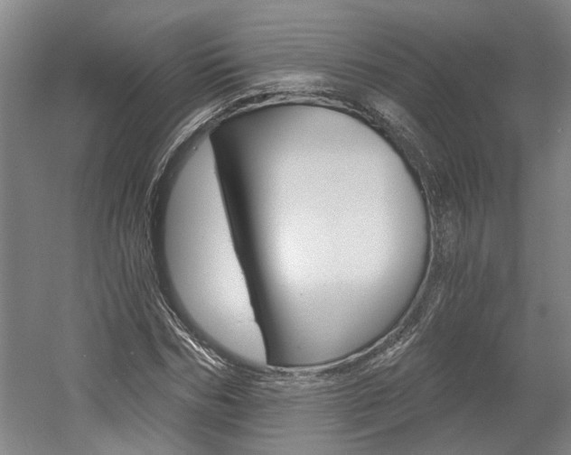 X0000058800970200509300910