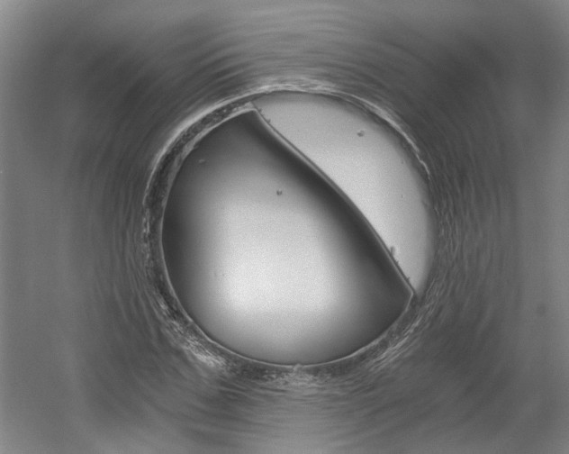 X0000058800971200509300910