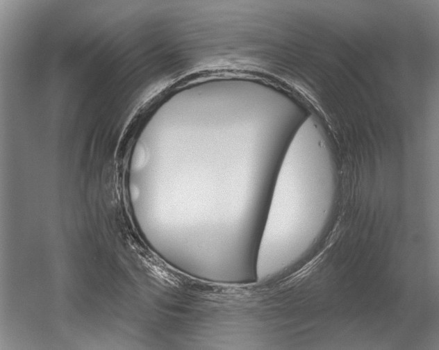 X0000058800974200509300910