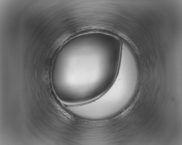 X0000058800977200509300910