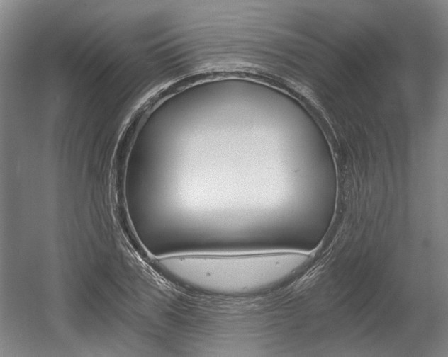 X0000058800979200509300910