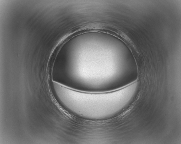 X0000058800981200509300909