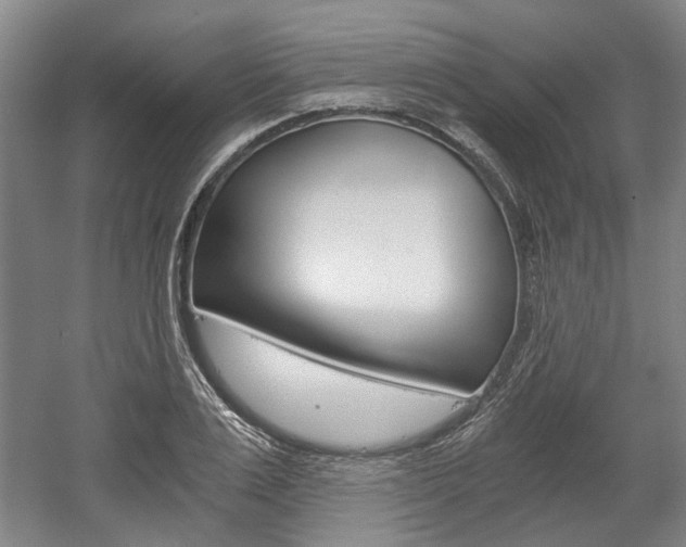 X0000058800983200509300909