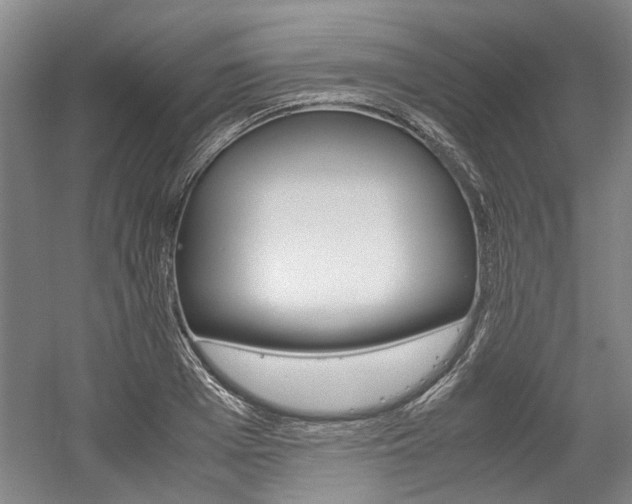 X0000058800985200509300909