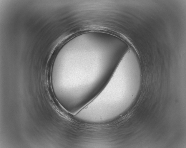 X0000058800987200509300909