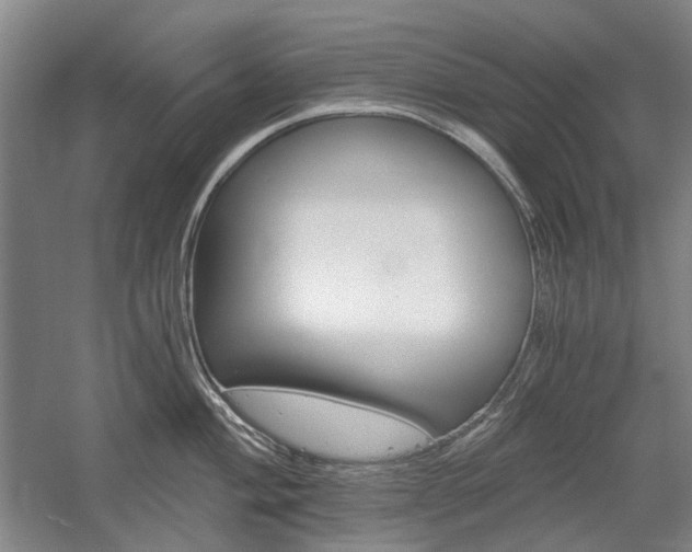 X0000058801004200509300909