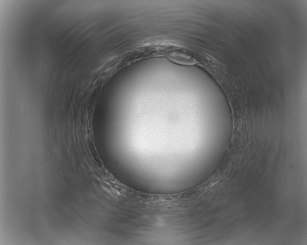 X0000058801014200509300908